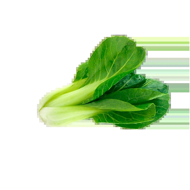 a8e1dd837143abad361b28d91e11a297f583c9e0775f3-0u3t6M_fw658.webp.jpg